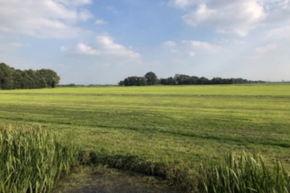 Mastenbroek